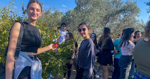 Olive Harvesting and Journey to the Olive Oil with EMU Students